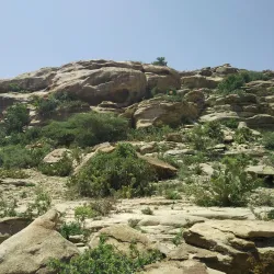 Laas Geel Rock Art - Garoowe