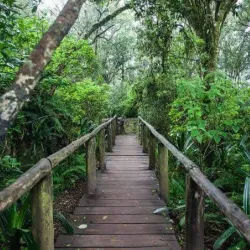 Blyde River Canyon Nature Reserve - Acornhoek