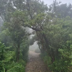 Blyde River Canyon Nature Reserve - Acornhoek