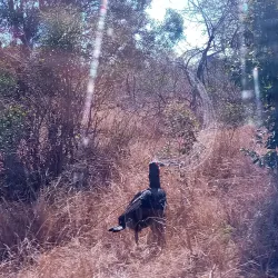 Bushbuckridge Game Reserve - Acornhoek