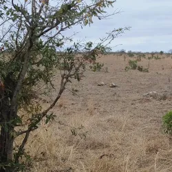 Bushbuckridge Game Reserve - Acornhoek