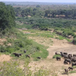 Klaserie Private Nature Reserve - Acornhoek