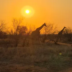 Klaserie Private Nature Reserve - Acornhoek
