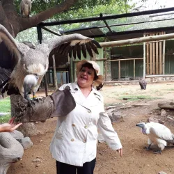 Moholoholo Wildlife Rehabilitation Centre - Acornhoek