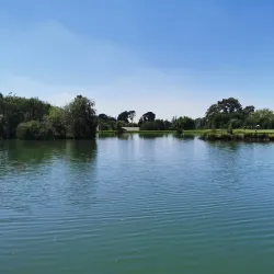 Alberton Golf Club - Alberton