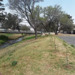 Alberton Library - Alberton