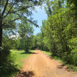 Alberton Nature Reserve - Alberton