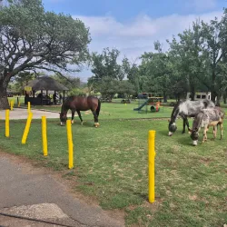 Alberton Nature Reserve - Alberton