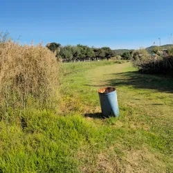 Alberton Nature Reserve - Alberton