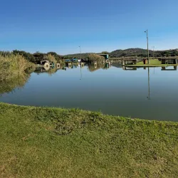 Alberton Nature Reserve - Alberton