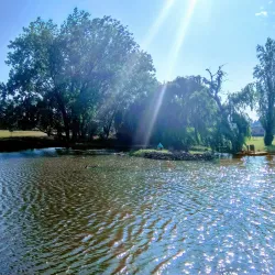 Alberton Nature Reserve - Alberton