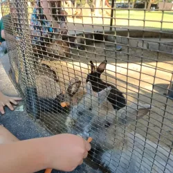 Alberton Nature Reserve - Alberton