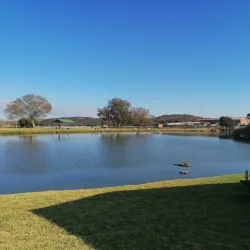 Brackenhurst Park - Alberton