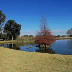 Brackenhurst Park - Alberton