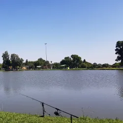 Brackenhurst Park - Alberton