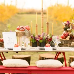 Farm Tours and Local Agriculture - Amersfoort