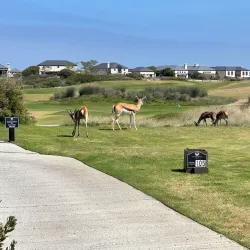 Atlantis Golf Club - Atlantis