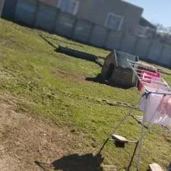 Atlantis Market - Atlantis