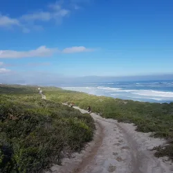 Koeberg Nature Reserve - Atlantis