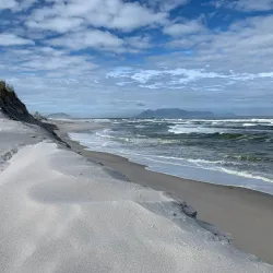 Koeberg Nature Reserve - Atlantis