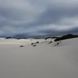 Koeberg Nature Reserve - Atlantis