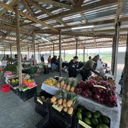 Ballito Farmers Market - Ballito