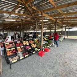 Ballito Farmers Market - Ballito