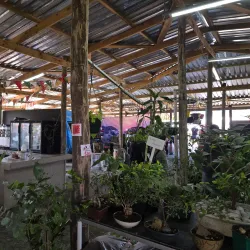 Ballito Farmers Market - Ballito