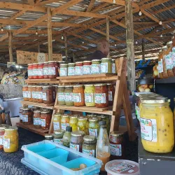 Ballito Farmers Market - Ballito