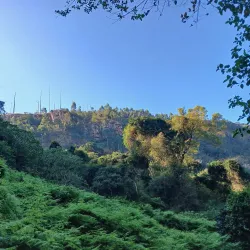 Giba Gorge Mountain Bike Park - Ballito