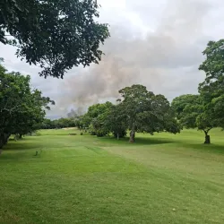 Umhlali Country Club - Ballito