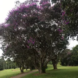 Umhlali Country Club - Ballito