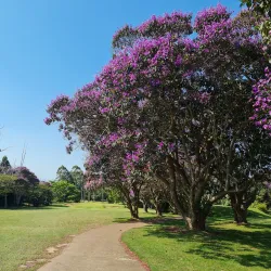 Umhlali Country Club - Ballito