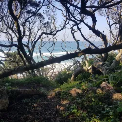 Umhlanga Lagoon Nature Reserve - Ballito