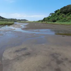 Umhlanga Lagoon Nature Reserve - Ballito