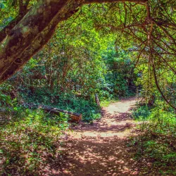Umhlanga Lagoon Nature Reserve - Ballito