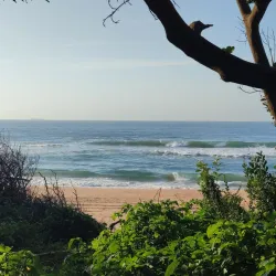 Umhlanga Lagoon Nature Reserve - Ballito