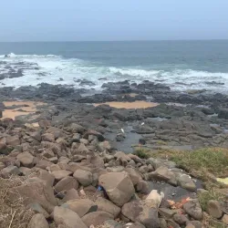 Willard Beach - Ballito