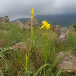 Barberton Makhonjwa Mountains UNESCO Global Geopark - Barberton