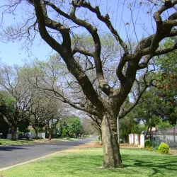 Barberton Old Town - Barberton