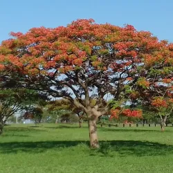 Barberton Old Town - Barberton