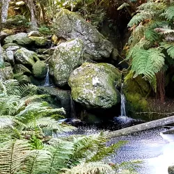 Marloth Nature Reserve - Barberton