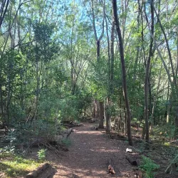 Marloth Nature Reserve - Barberton