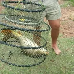 Bela-Bela Dam - Bela-Bela