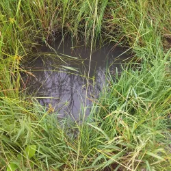 Bela-Bela Dam - Bela-Bela