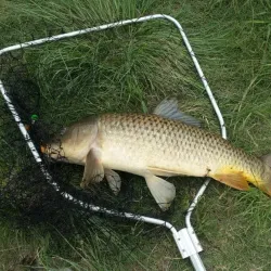 Bela-Bela Dam - Bela-Bela