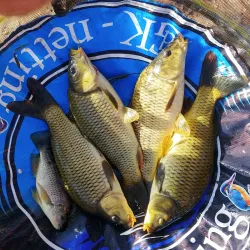 Bela-Bela Dam - Bela-Bela