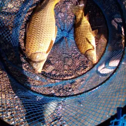 Bela-Bela Dam - Bela-Bela