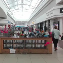 Bela-Bela Market - Bela-Bela