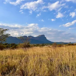 Entabeni Game Reserve - Bela-Bela